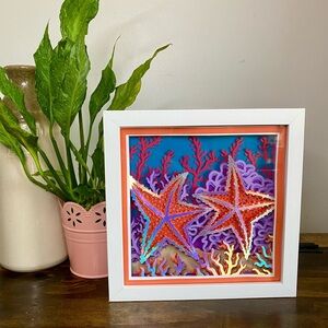 Starfish 3D Shadowbox